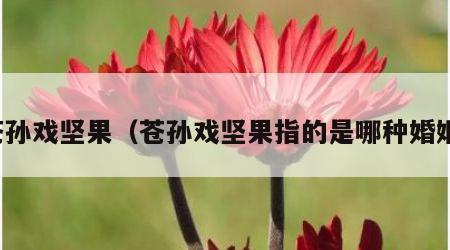 苍孙戏坚果（苍孙戏坚果指的是哪种婚姻）