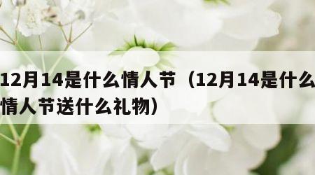12月14是什么情人节（12月14是什么情人节送什么礼物）