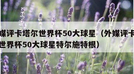 外媒评卡塔尔世界杯50大球星（外媒评卡塔尔世界杯50大球星特尔施特根）