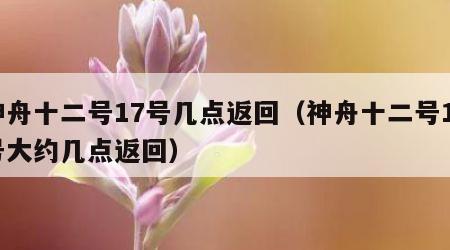 神舟十二号17号几点返回（神舟十二号17号大约几点返回）