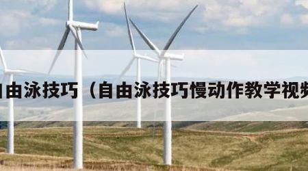 自由泳技巧（自由泳技巧慢动作教学视频）