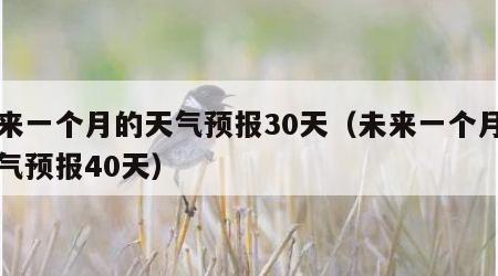 未来一个月的天气预报30天（未来一个月的天气预报40天）