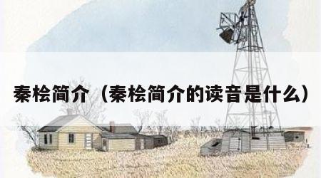 秦桧简介（秦桧简介的读音是什么）