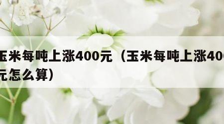 玉米每吨上涨400元（玉米每吨上涨400元怎么算）