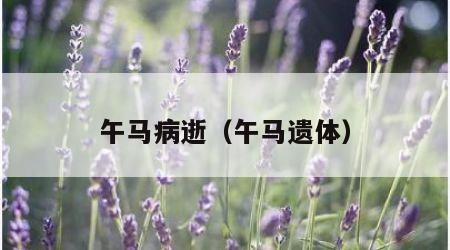 午马病逝（午马遗体）