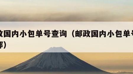 邮政国内小包单号查询（邮政国内小包单号查询邮）