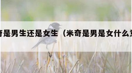 米奇是男生还是女生（米奇是男是女什么意思）