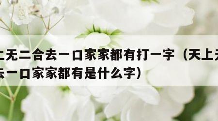 天上无二合去一口家家都有打一字（天上无二合去一口家家都有是什么字）