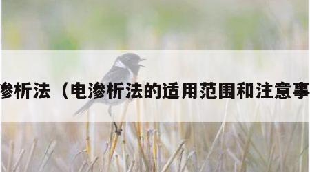 电渗析法（电渗析法的适用范围和注意事项）