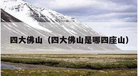 四大佛山（四大佛山是哪四座山）