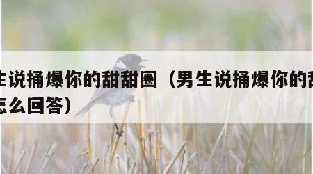男生说捅爆你的甜甜圈（男生说捅爆你的甜甜圈怎么回答）