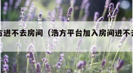 浩方进不去房间（浩方平台加入房间进不去游戏）