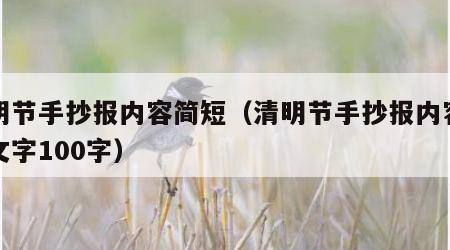 清明节手抄报内容简短（清明节手抄报内容简短文字100字）