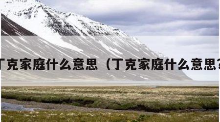 丁克家庭什么意思（丁克家庭什么意思?）