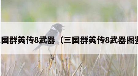 三国群英传8武器（三国群英传8武器图鉴）