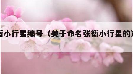 张衡小行星编号（关于命名张衡小行星的决定）