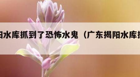 揭阳水库抓到了恐怖水鬼（广东揭阳水库抓水鬼）