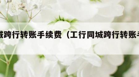同城跨行转账手续费（工行同城跨行转账手续费）