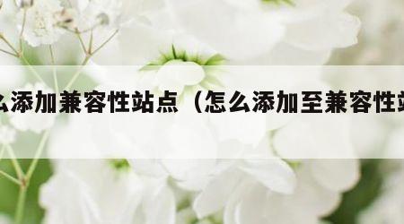 怎么添加兼容性站点（怎么添加至兼容性站点）