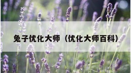 兔子优化大师（优化大师百科）