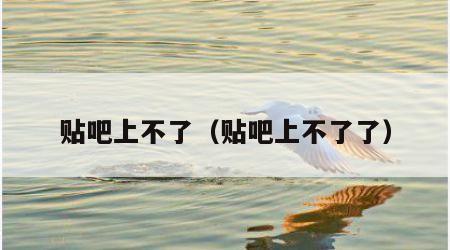 贴吧上不了（贴吧上不了了）