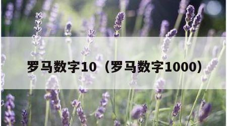 罗马数字10（罗马数字1000）