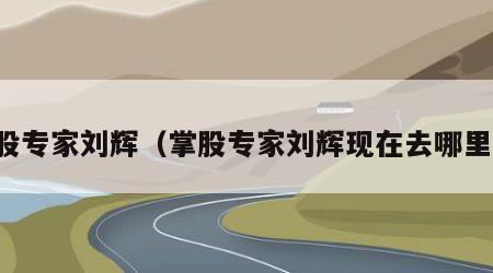 掌股专家刘辉（掌股专家刘辉现在去哪里了）