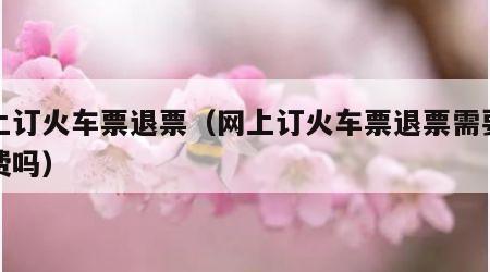 网上订火车票退票（网上订火车票退票需要手续费吗）