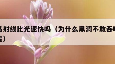 伽马射线比光速快吗（为什么黑洞不敢吞噬中子星）