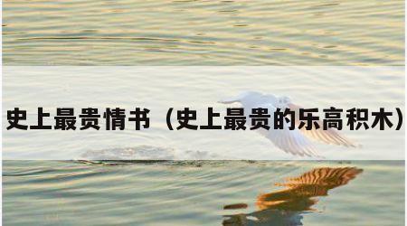 史上最贵情书（史上最贵的乐高积木）
