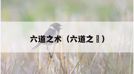 六道之术（六道之辻）