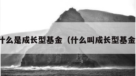 什么是成长型基金（什么叫成长型基金）