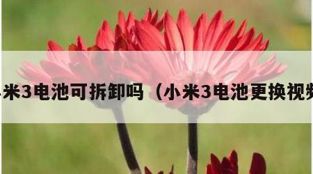 小米3电池可拆卸吗（小米3电池更换视频）