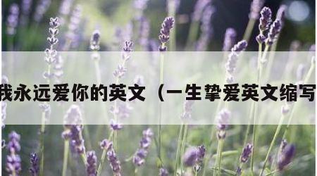 我永远爱你的英文（一生挚爱英文缩写）