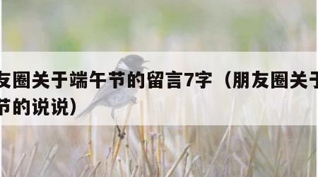 朋友圈关于端午节的留言7字（朋友圈关于端午节的说说）