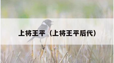 上将王平（上将王平后代）