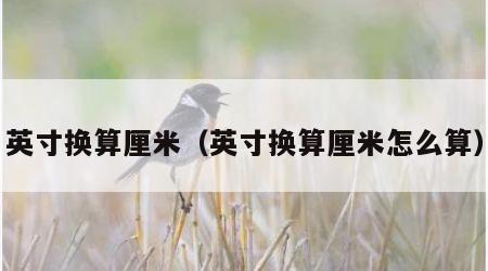 英寸换算厘米（英寸换算厘米怎么算）