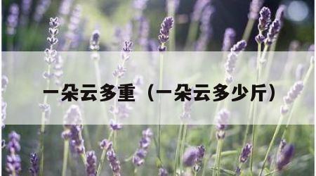 一朵云多重（一朵云多少斤）
