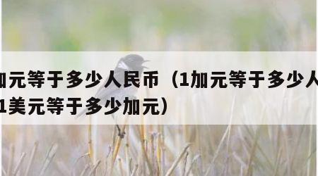 1加元等于多少人民币（1加元等于多少人民币1美元等于多少加元）
