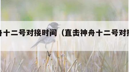 神舟十二号对接时间（直击神舟十二号对接时间）