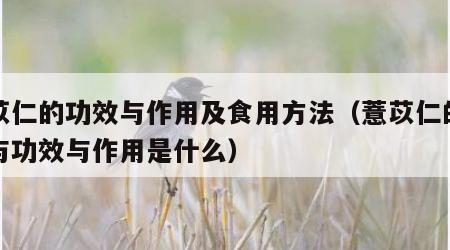薏苡仁的功效与作用及食用方法（薏苡仁的作用与功效与作用是什么）