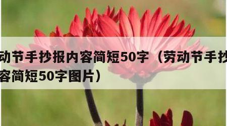 劳动节手抄报内容简短50字（劳动节手抄报内容简短50字图片）