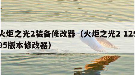 火炬之光2装备修改器（火炬之光2 12595版本修改器）
