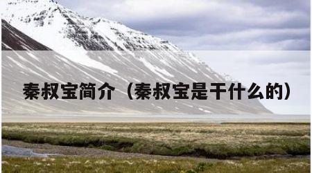 秦叔宝简介（秦叔宝是干什么的）