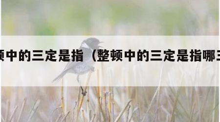 整顿中的三定是指（整顿中的三定是指哪三定?）