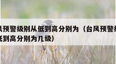 台风预警级别从低到高分别为（台风预警级别从低到高分别为几级）