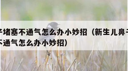 鼻子堵塞不通气怎么办小妙招（新生儿鼻子堵塞不通气怎么办小妙招）