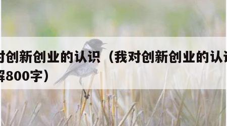 我对创新创业的认识（我对创新创业的认识和理解800字）