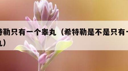 希特勒只有一个睾丸（希特勒是不是只有一个睾丸）