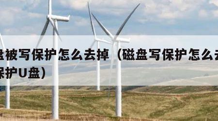 磁盘被写保护怎么去掉（磁盘写保护怎么去掉写保护U盘）
